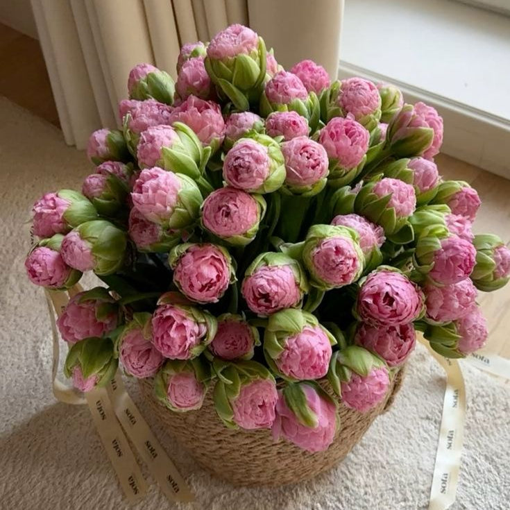 roses