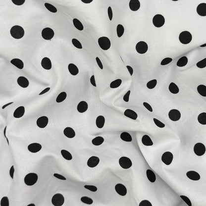 dalmatian cutie