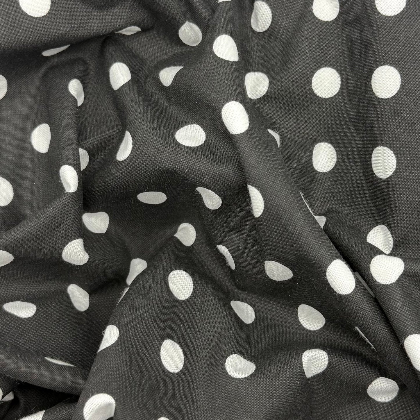 polka dotty